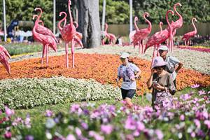 BIB: 
                            <button type="button" onclick="openModal(27793832)" class="btn btn-primary btn-sm float-right btn-popup" data-toggle="modal" data-target=".modal-high-quality">
                        <i class="fas fa-shopping-cart"></i> Add to Cart
                    </button>
                                            <button type="button" onclick="isThisMe(27793832, true)" class="btn btn-success btn-sm float-right btn-popup btn-isme hidden" data-toggle="tooltip" data-placement="bottom" title="นี่คือรูปของคุณใช่ไหม คลิกที่นี่เพื่อเอาเข้าอัลบั้ม">
                        <i class="fas fa-plus"></i> Add to album
                    </button>
                    <button type="button" onclick="isThisMe(27793832, false)" class="btn btn-warning btn-sm float-right btn-popup btn-isnotme hidden">
                        <i class="fas fa-ban"></i> Remove from album
                    </button>